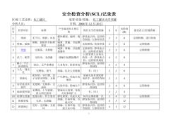 安全检查分析(SCL)记录表