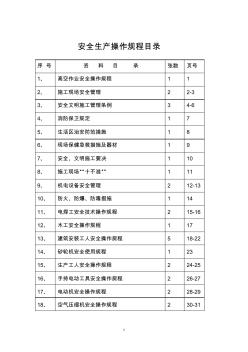 安全生产操作规程 (3)