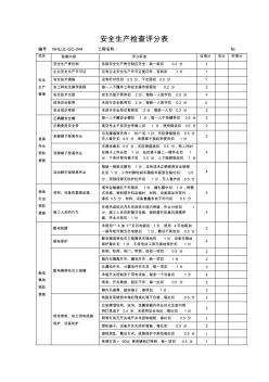 安全生产检查评分表044