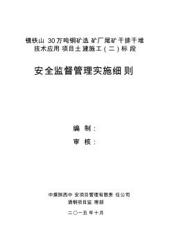 安全监督管理实施细则