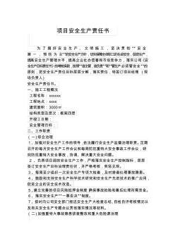 安全責任書項目經理