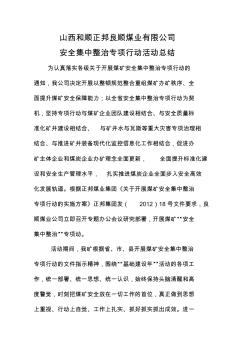 安全集中整治专项行动活动总结