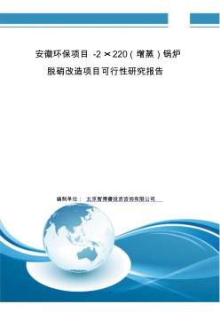 安徽环保项目-2×220(增蒸)锅炉脱硝改造项目可行性研究报告