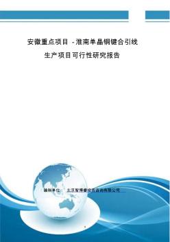 安徽重点项目-淮南单晶铜键合引线生产项目可行性研究报告