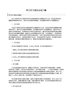 審計實習報告總結六篇