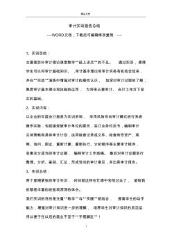 审计实训报告总结