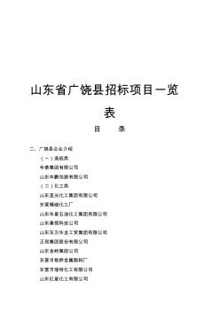 山东省广饶县招标项目一览表