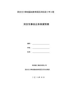 工程应急预案及应急措施39608