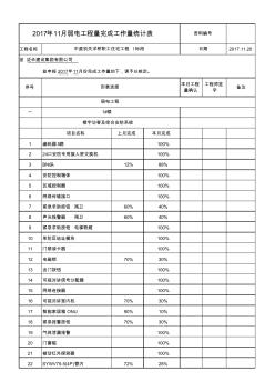 工程施工月形象進度報表