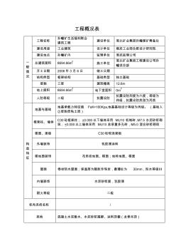 工程概况表 (2)