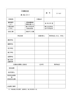 工程概况表 (3)