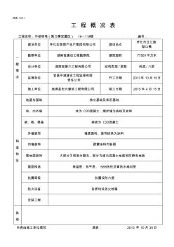 工程概况表 (6)