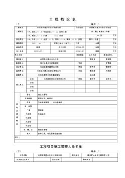 工程概况表(综合表)