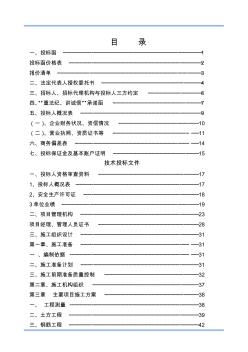 工程类投标文件范本