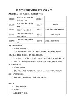 工程质量监督检查建筑工程交付使用前专家意见书