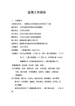 工程进度及分析报告