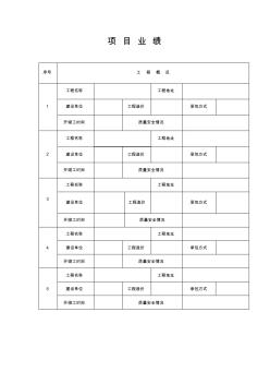 工程项目业绩表