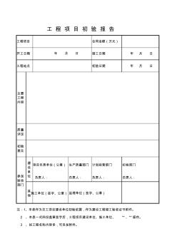 工程项目初验报告