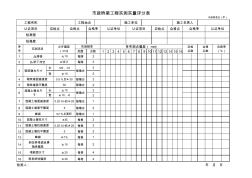 市政桥梁工程实测实量评分表(甲)