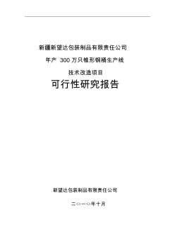 年產(chǎn)300萬只錐形鋼桶生產(chǎn)線技術(shù)改造項(xiàng)目申請(qǐng)立項(xiàng)可行性分析研究論證報(bào)告