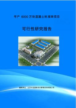 年产6000万块混凝土标准砖项目可行性研究报告(目录)