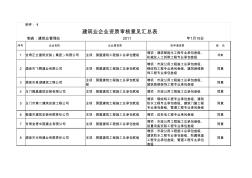 建筑业企业资质审核意见汇总表(市批)xls