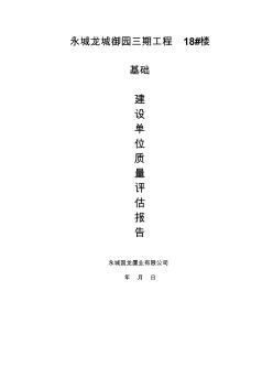 建设单位主体评估报告(20200803152049)