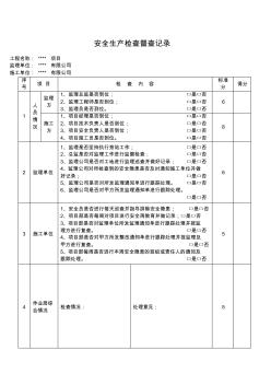 建设单位安全检查记录表