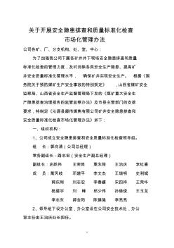 开展安全隐患排查和质量标准化检查市场化管理办法