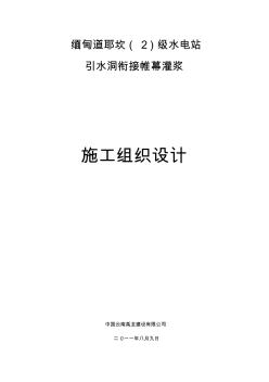 引水洞衔接帷幕灌浆施工组织措施