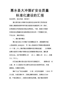 惠水县大冲煤矿安全质量标准化建设的汇报