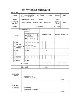 拉森鋼板樁施工成套驗收資料