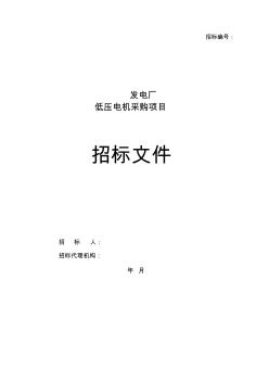 招标文件-发电厂低压电机采购项目 (2)