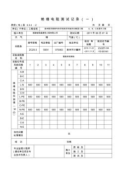 插座、开关、灯具绝缘测试记录(上海浦东)