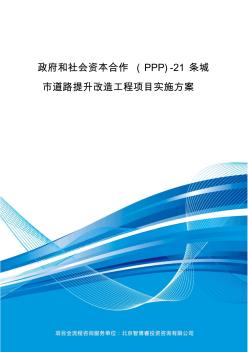 政府和社会资本合作(PPP)-21条城市道路提升改造工程项目实施方案(编制大纲)