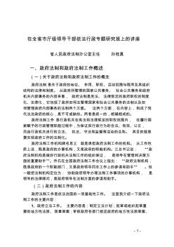 政府法制建设的理论与实践(公开稿