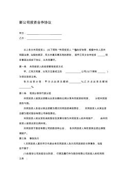 新公司投資合作協(xié)議書范本