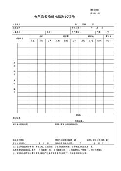 施2002-60电气设备绝缘电阻测试记录