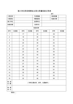 施工单位机械连接扭紧力值自检记录表格