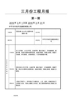 施工月报范本(2)