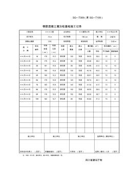 旋挖灌注桩基础施工记录