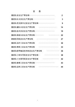 普掘区队安全生产责任制