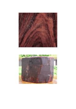 木材材质辨认 (2)