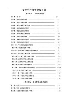 某公司安全生产操作规程 (2)