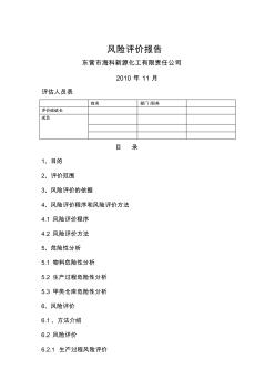 某化工公司风险评价报告(11页)优质版