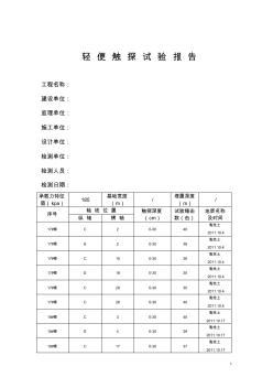 某房轻便触探试验报告