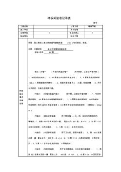 樣板間驗(yàn)收記錄表 (3)