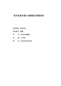桂东县城关镇小城镇建设调查报告