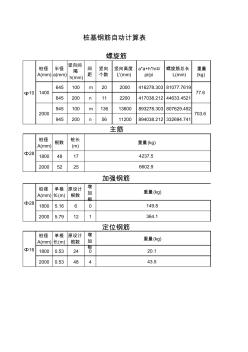 樁基鋼筋自動計算表 (2)