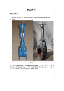 楔形闸阀